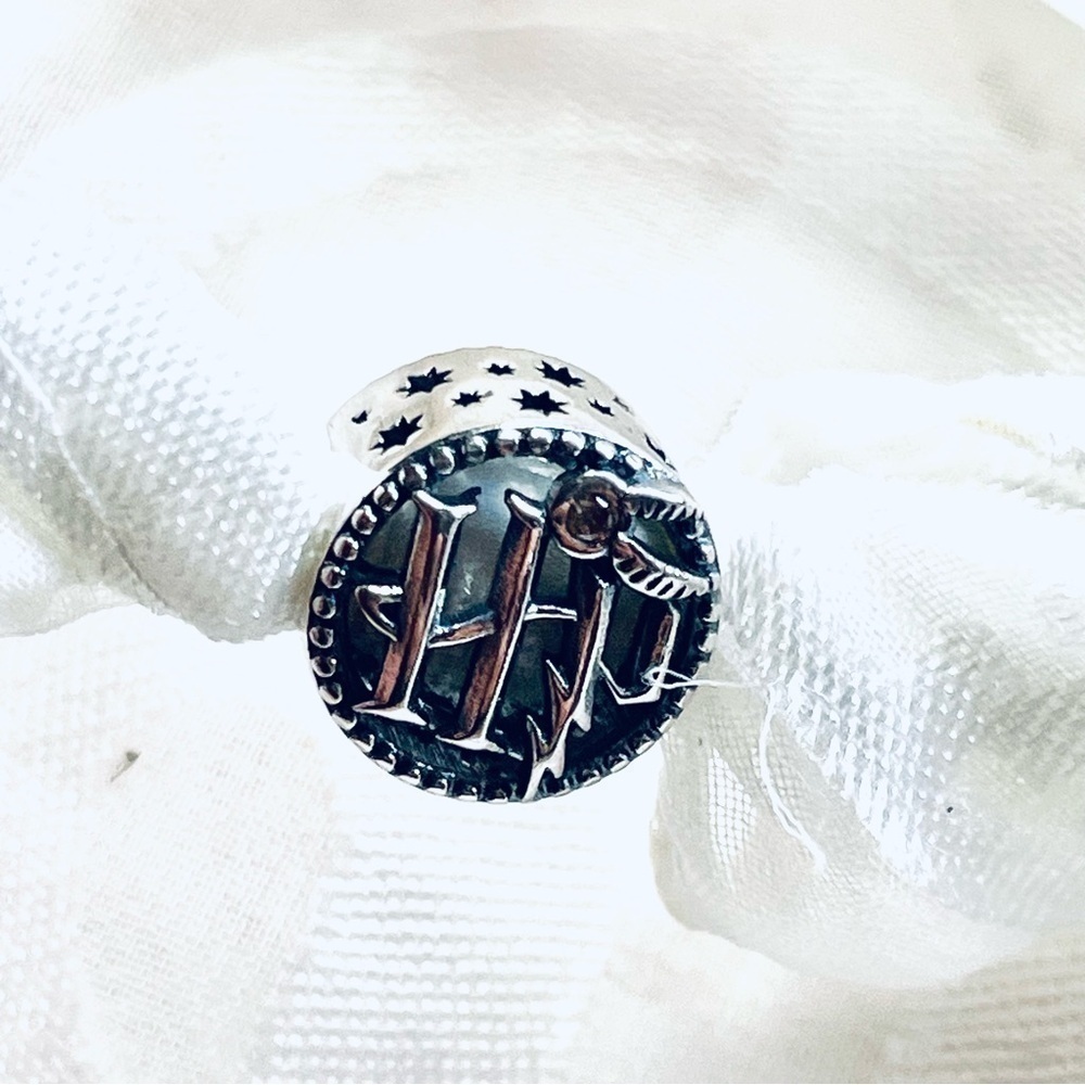 NWOT Harry Potter Charm – Golden Snitch & Hedwig Owl 🪶